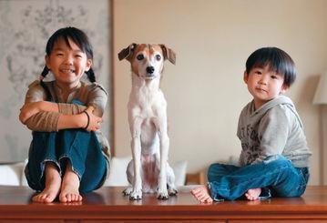 幼儿园|第一天上幼儿园不哭的孩子,幼儿园老师多半出自3种家庭