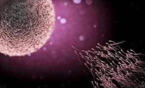 生双胞胎|为什么有人一直生儿子，有人一直生女儿？或与以下4个原因有关