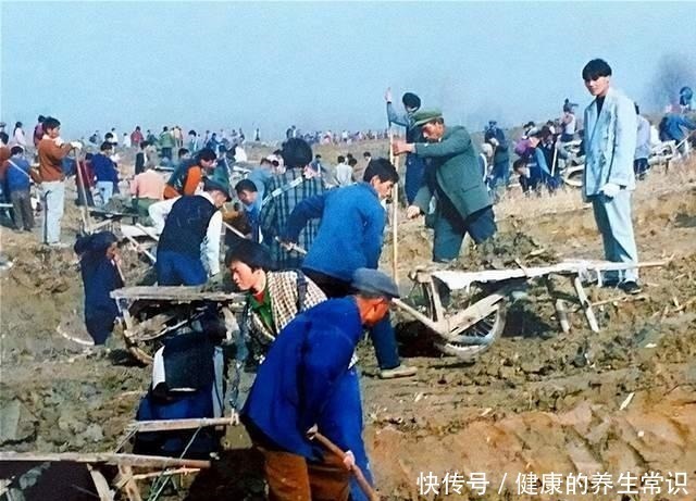  青铜器|文物惊魂24小时国宝青铜器、中国考古超重金兽及郢爰捐献始末