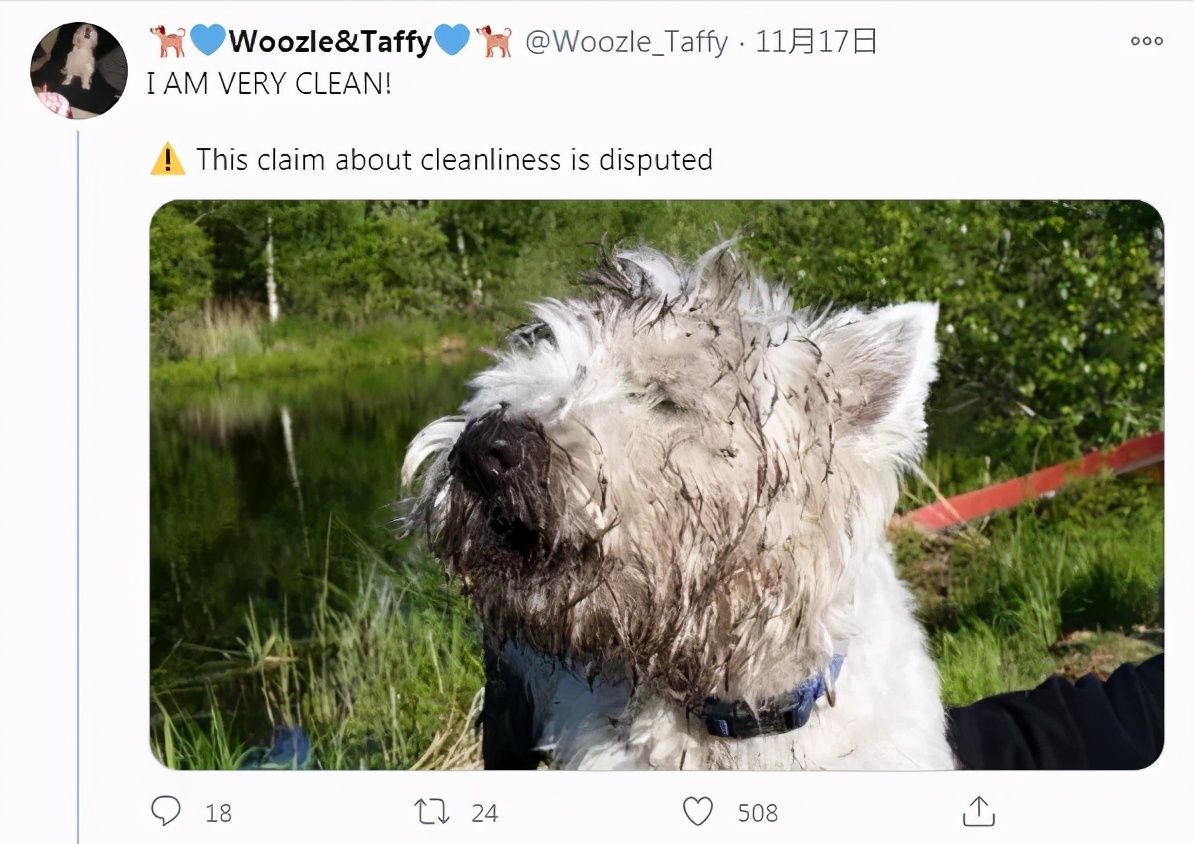 特朗普|推特的“事实核查”标签,被网友们玩出了花