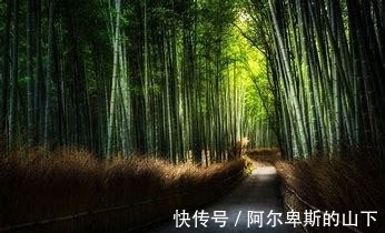 在乎你|揭秘：表面虽然看起来善良，内心却极为狠毒的星座！你中招了吗？