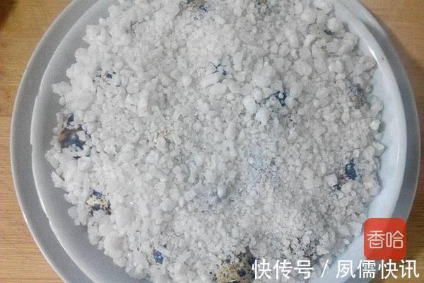 哈妹|吃鈣片還不如吃此物，家人每天吃一點，可以補鈣壯骨，效果真的好