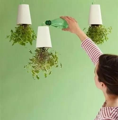 空中|房子小,咋养花?那就造一个空中花园