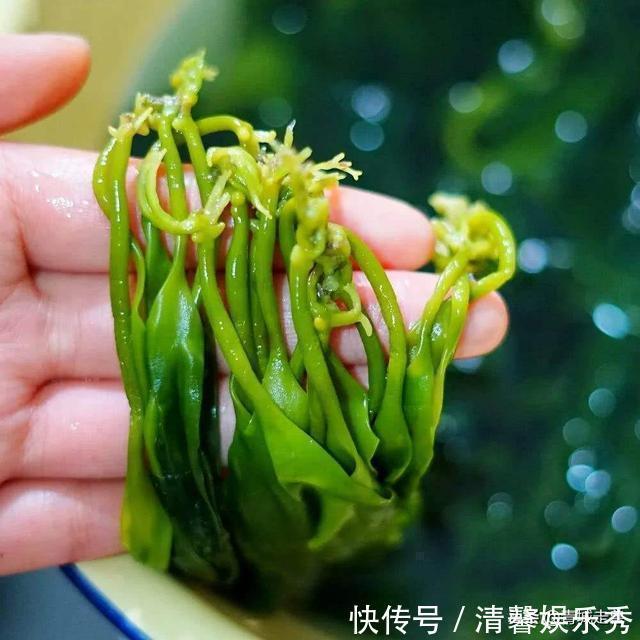 金耳|建议中老年人:别舍不得花钱!多吃下面这些食物,营养美味气色好