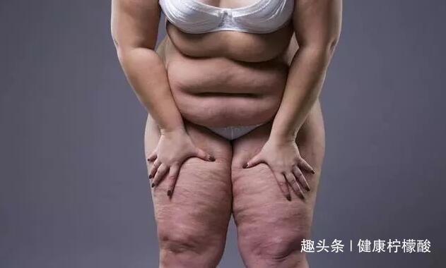 淡竹叶|最好的“减肥药”在厨房!每天吃一点,祛湿又减肥!