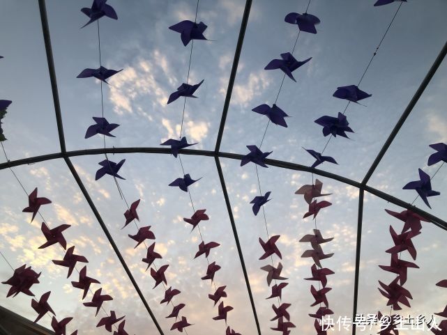 凉风|立秋将至,老人说:秋季要“三不睡,三不做”,分别指的是啥?