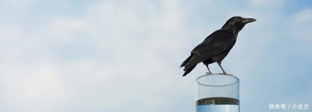 农村俗语''早不买猪肉,晚不买豆腐''是什么意思?是否有道理?