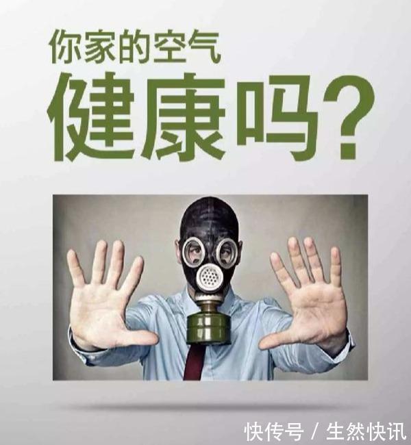绿植|家居污染怎么检测4个小办法,简单易上手早发现早解决