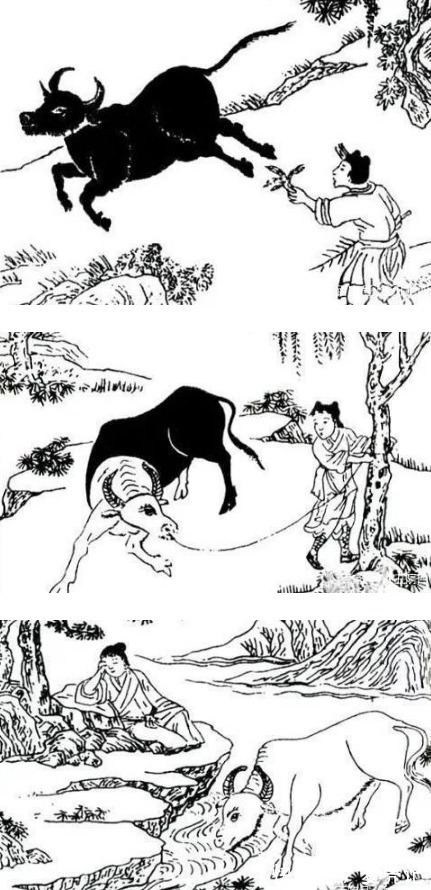 唐僧!鲁迅:西游记经书名都抄错,吴承恩:你解释下牛魔王为何是大白牛