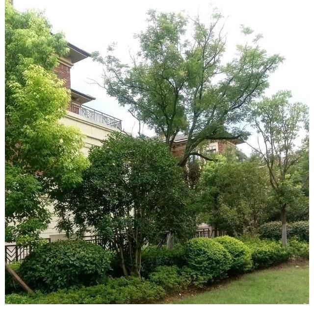 炒房|我国的房价泡沫大吗？真不大