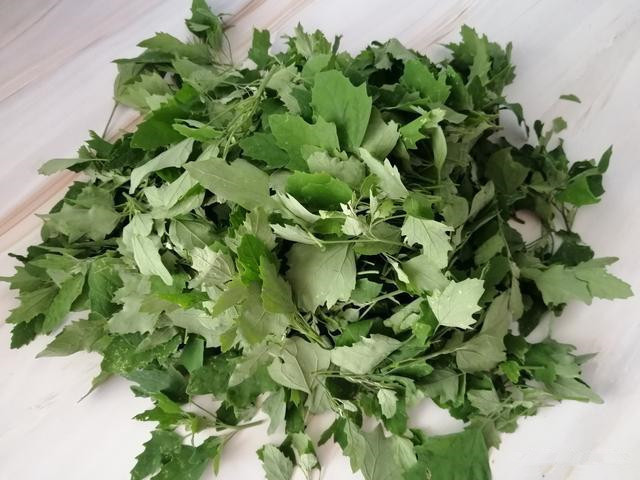 免费|人没老,腿先老!路边的“天然钙库”,补钙比鸡蛋强太多,还免费