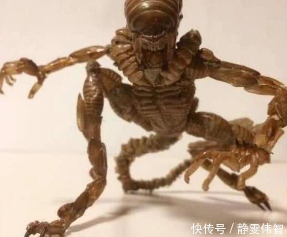 小沙发|万物皆可手办,知了做出异形的感觉,小龙虾壳变身恶魔龙