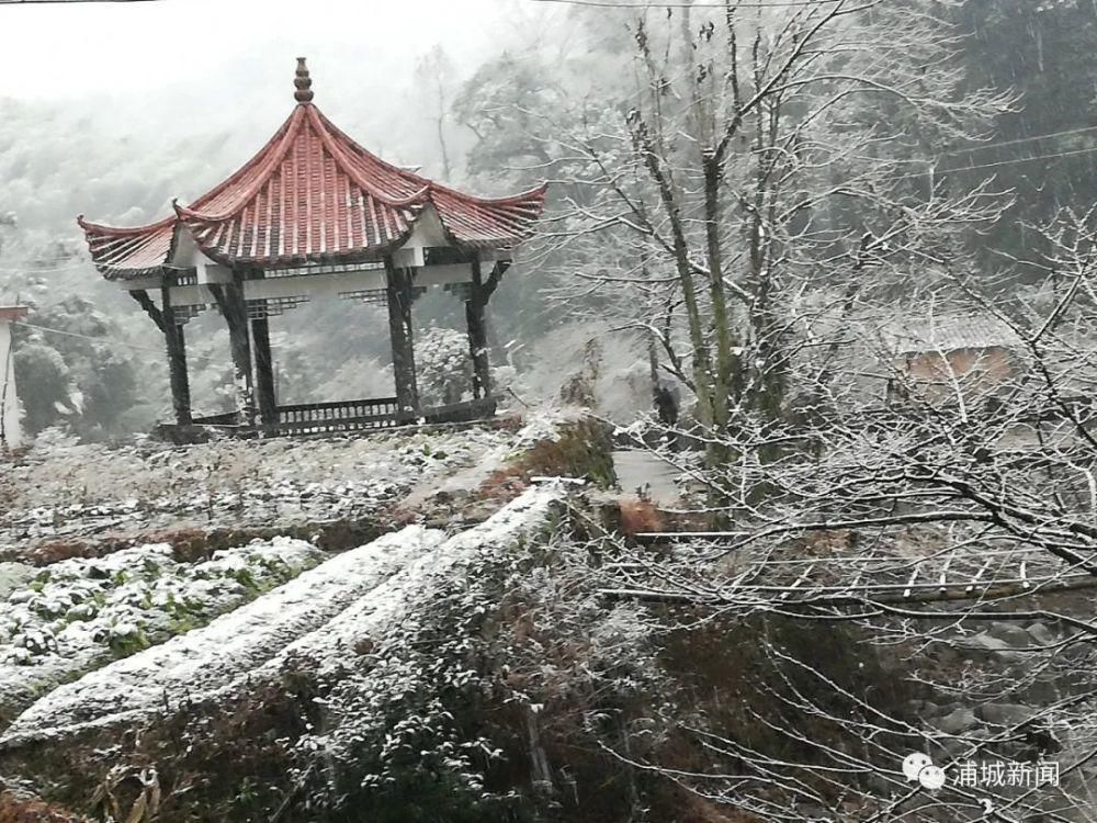 闽北雪景美图合集来啦～真正银装素裹，宛若琉璃世界！