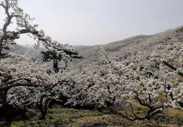 辽宁被5A“砸中”的景区，被称“皇家仙山”，佛道两教共居一山！