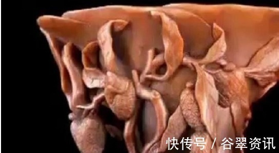 专家老师!曾祖父定了娃娃亲,最后没成,退回这藏品,改命了