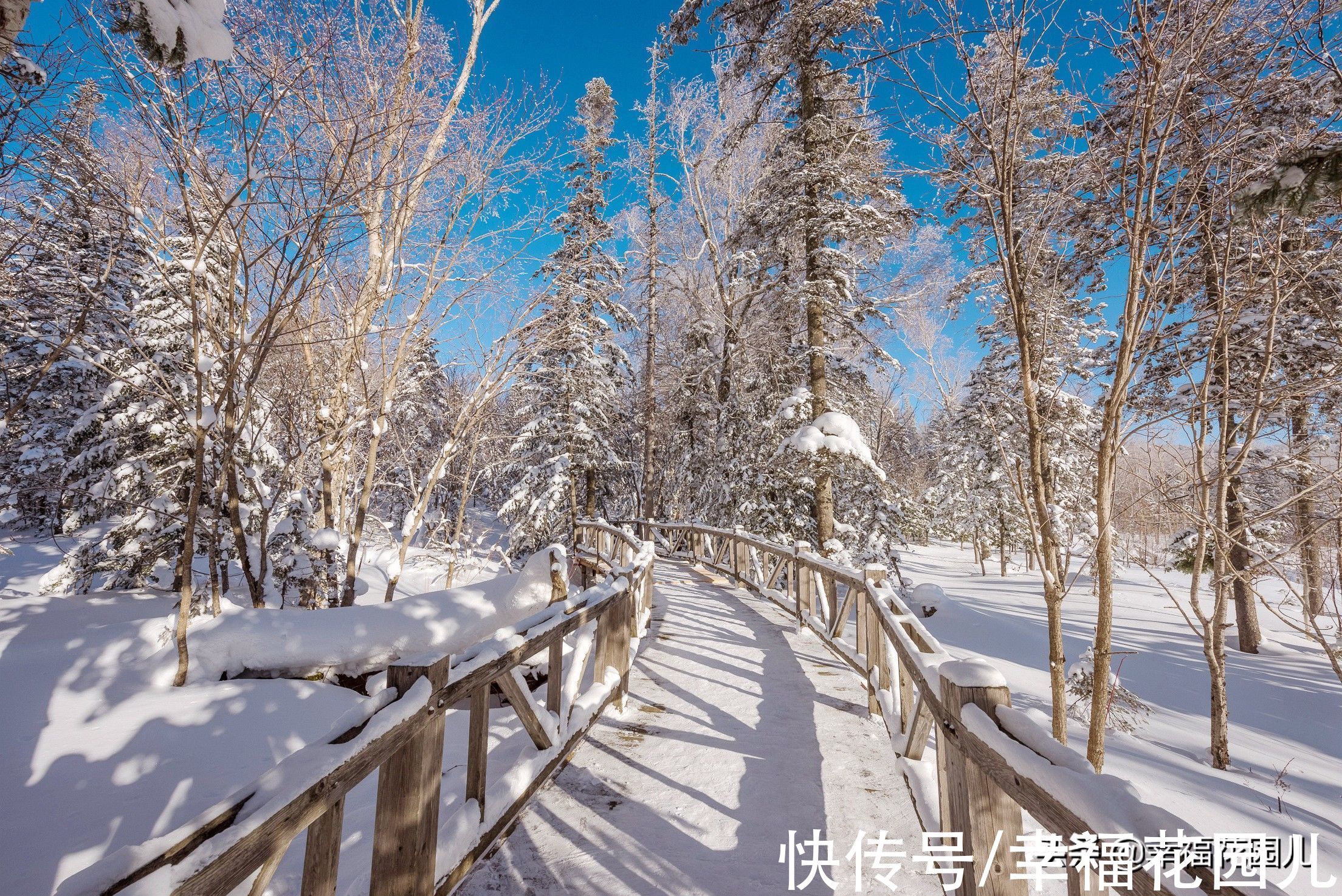 老桥|赏冰、玩雪、看美景，找回儿时过年的味道，就在非常冰雪黑龙江