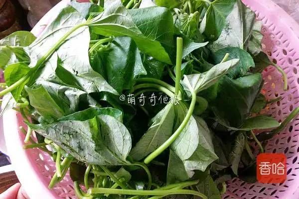 味碟|它被称为“蔬菜皇后”，胡萝卜素是芋头的600多倍，只卖2块一斤