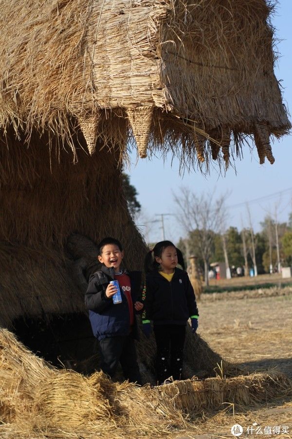 郊野公园|心想游，心想有，心享游 篇二十一：上海人少景美赏春处，嘉北郊野公园