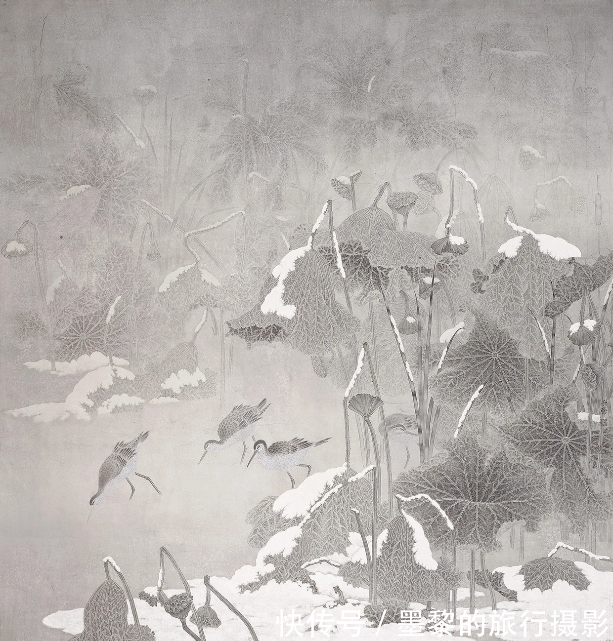 花鸟画|花鸟画｜他爱画残荷，把残荷当成冰清玉洁的丽人