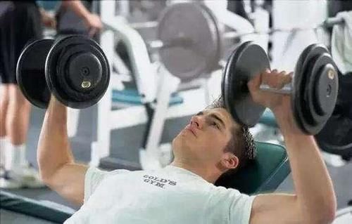 热身运动|天天运动和隔天运动,哪个对身体更好?可能与你想的不一样