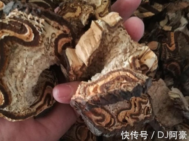 民间|此种野生物,现可遇不可求,在民间十分珍贵,值得被我们珍惜保存