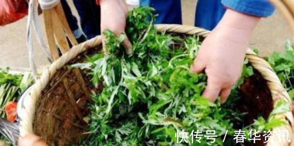 风湿关节痛|艾草抗癌是真的吗别再被骗了，艾草就3个养生作用