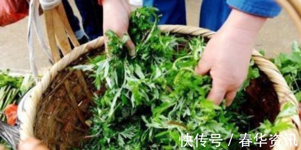 风湿关节痛|艾草抗癌是真的吗别再被骗了,艾草就3个养生作用