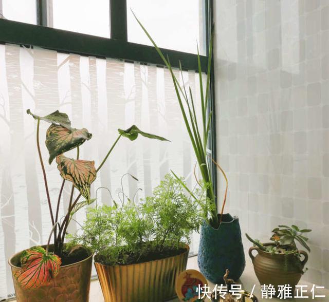 飘窗|吐槽飘窗没用？是因为你没好好设计，8种布局方案很实用