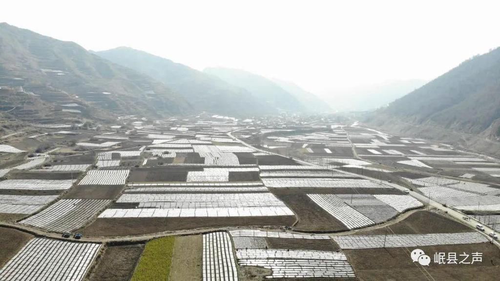 岷县的春夏秋冬，看不够！