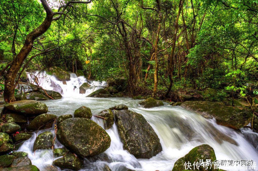 畅游清溪森林公园，领略壮美的黄茅田瀑布，植被繁茂，溪涧纵横