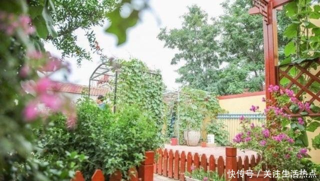 旧农舍改造成花园,一年四季花开不断,邻居看了羡慕的不得了!