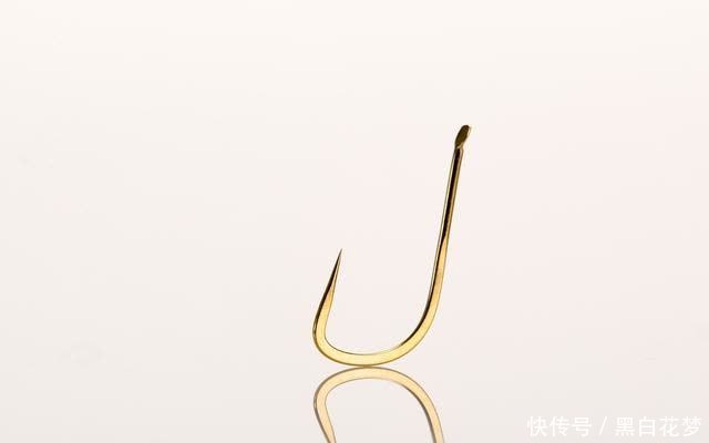 野钓鲫鱼还在选袖钩?这几款钩型大小通杀还不跑鱼