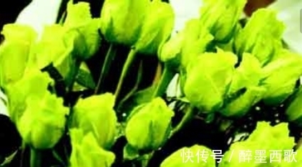 喜欢养花,不如养盆世界上最奇特的花:绿玫瑰,花色青碧美过翠玉