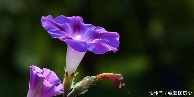 周易·系辞下|人生逆境时,学会逆来顺受,实为上策