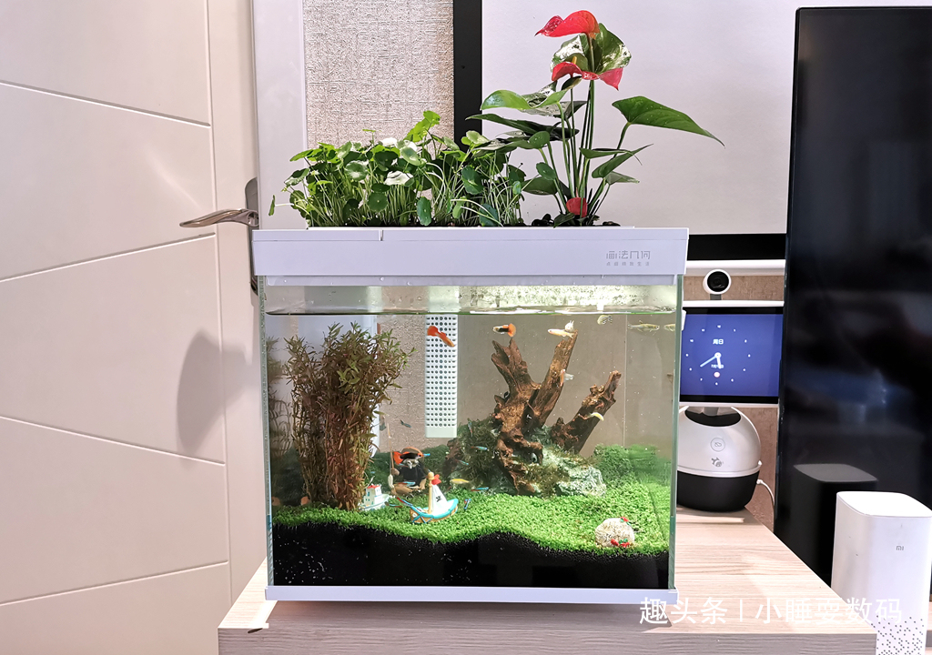 哪种鱼缸更适合养鱼画法几何AI智能鱼缸，水质监测还能自动喂食