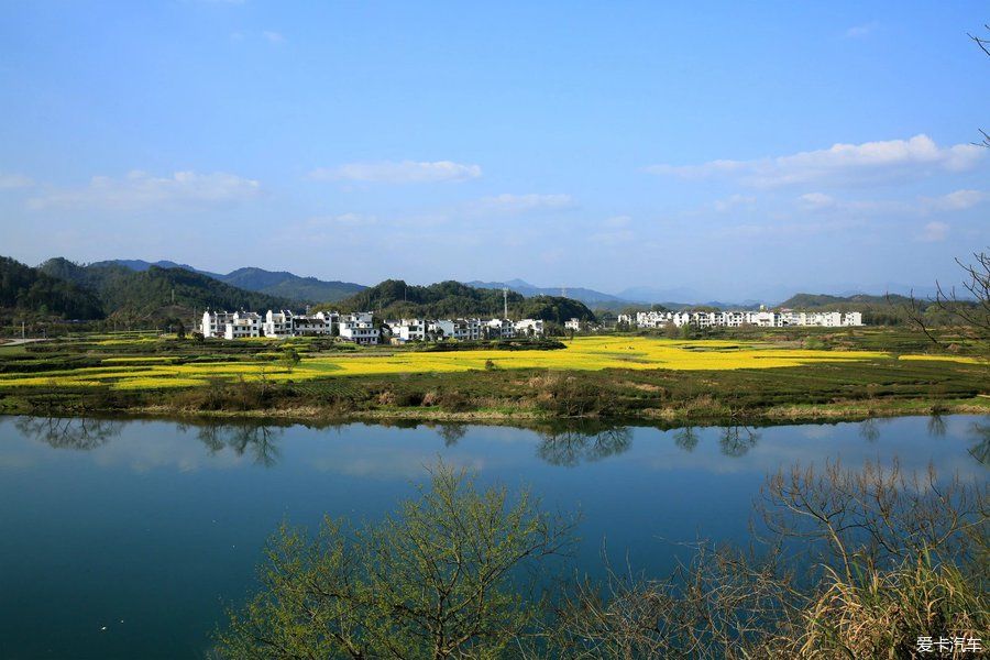 阳春三月，游婺源赏油菜花