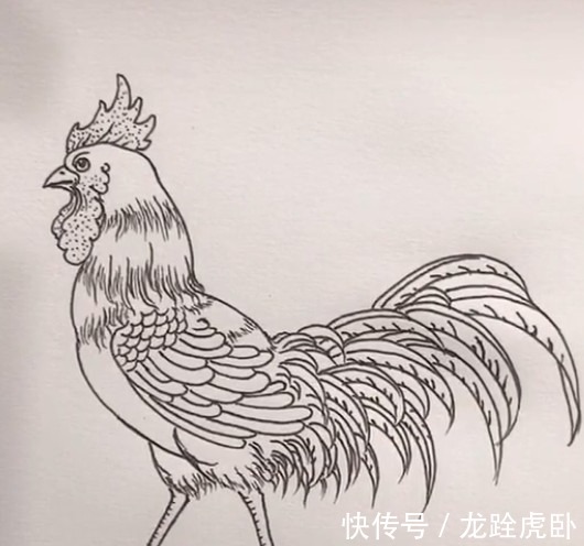 美术生画#美术生画公鸡，不起型直接画，成品很有料，网友：橡皮擦放假了