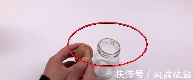 不管养什么花，花盆里放入1个鸡蛋，一年都不用施肥，怎么回事