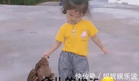 步伐|“山大王宝宝”手拎母鸡,走出六亲不认的步伐,网友:王者归来?