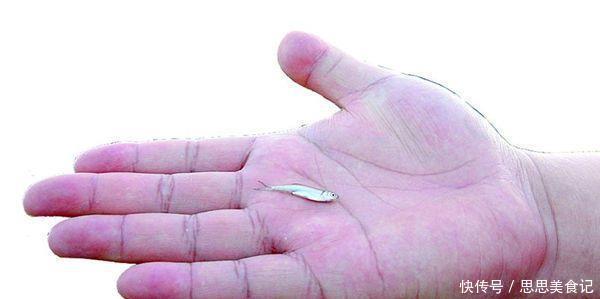 解读长江禁钓令:一人一竿一钩的垂钓方式,进入有法可依的时代