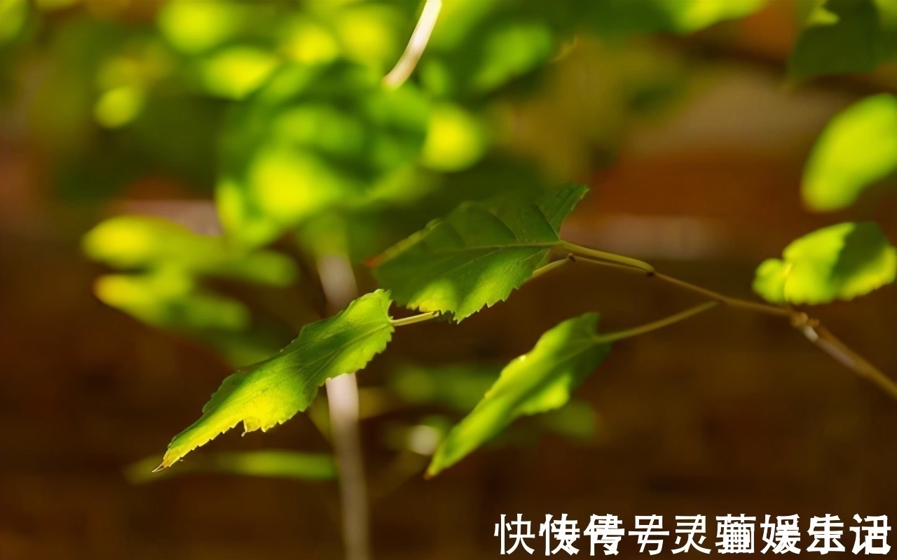 胰岛素|血糖高的人,身体有4个表现,若一个都没有,血糖还算稳定