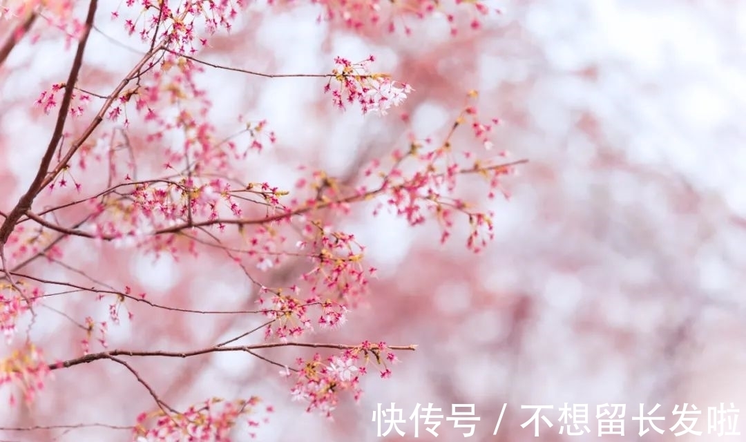 眼前人!晏殊最经典的10首宋词,语言美,意境美,每一首都值得背诵