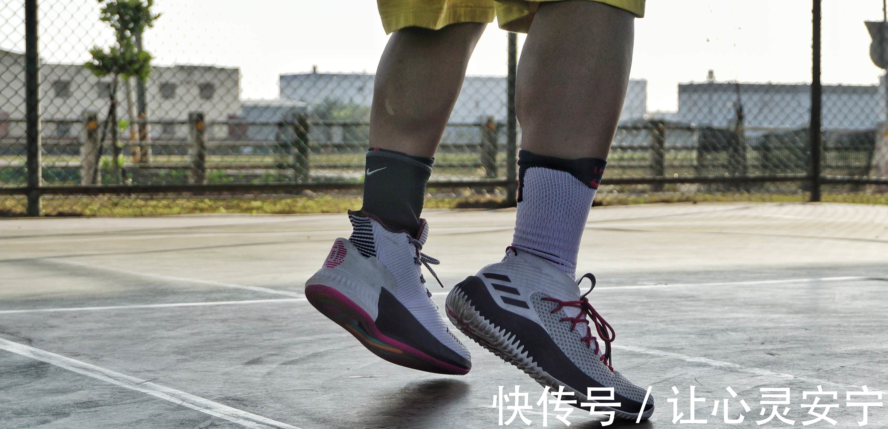 rose 9|依旧带刺的玫瑰-adidas D ROSE 9