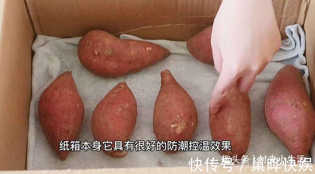 地瓜|保存红薯，放地上就错了，教你3个土方法，放上半年都很新鲜