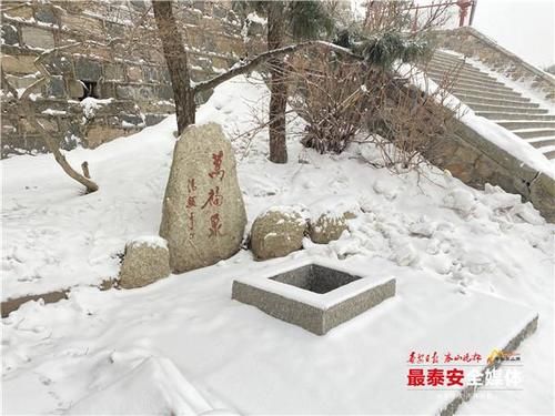 下雪|泰山又下雪啦！青山原不老，为雪而白头