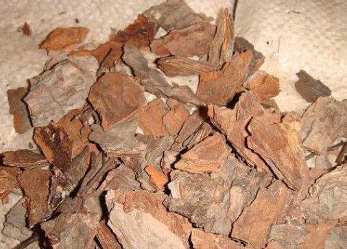 绿化带中的这2样,全是养花的宝贝,盆栽植物还能提供有机质