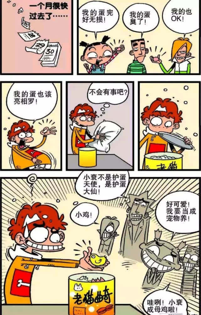 搞笑：小衰的“护蛋”经历，太难了～