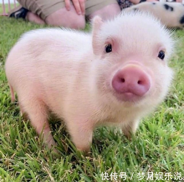 |十条笑话:你说男人真是神了,居然能让女人生出小孩来!