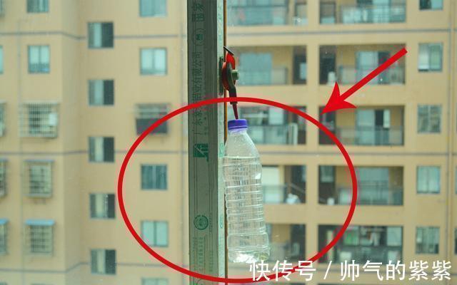塑料瓶装点水挂在窗边,作用真厉害,邻居见了纷纷学起来