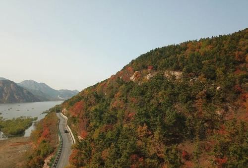  漫山|崂山水库北岸秋色漫山